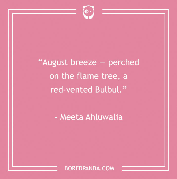 Meeta Ahluwalia About The Breeze Of August 