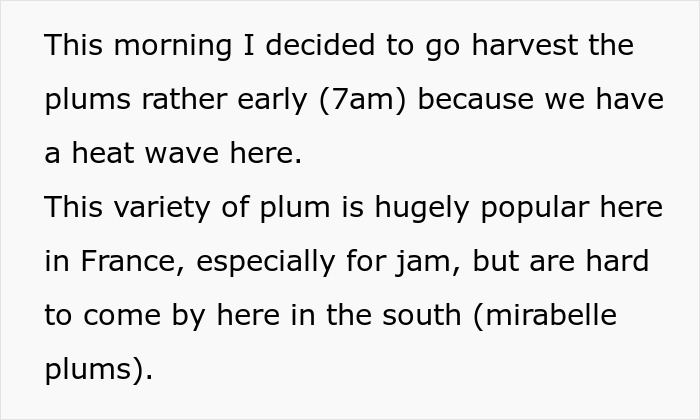 "Neighbor Yelled At Me Because I Harvested My Fruits Before She Could Steal Them" "Neighbor Yelled At Me Because I Harvested My Fruits Before She Could Steal Them"