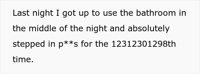 &ldquo;The Bathroom Floor Was Suddenly Always Wet&rdquo;: BF Keeps Missing The Toilet, GF Gets Resourceful