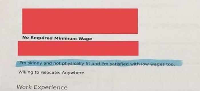 Our Company Received This Resume From An Applicant Today