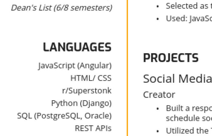 The Third Language In This Resume
