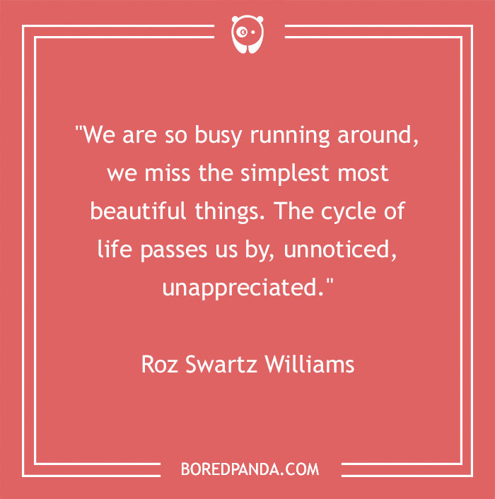 Quote on appreciating beauty by Roz Swartz Williams on a red background.