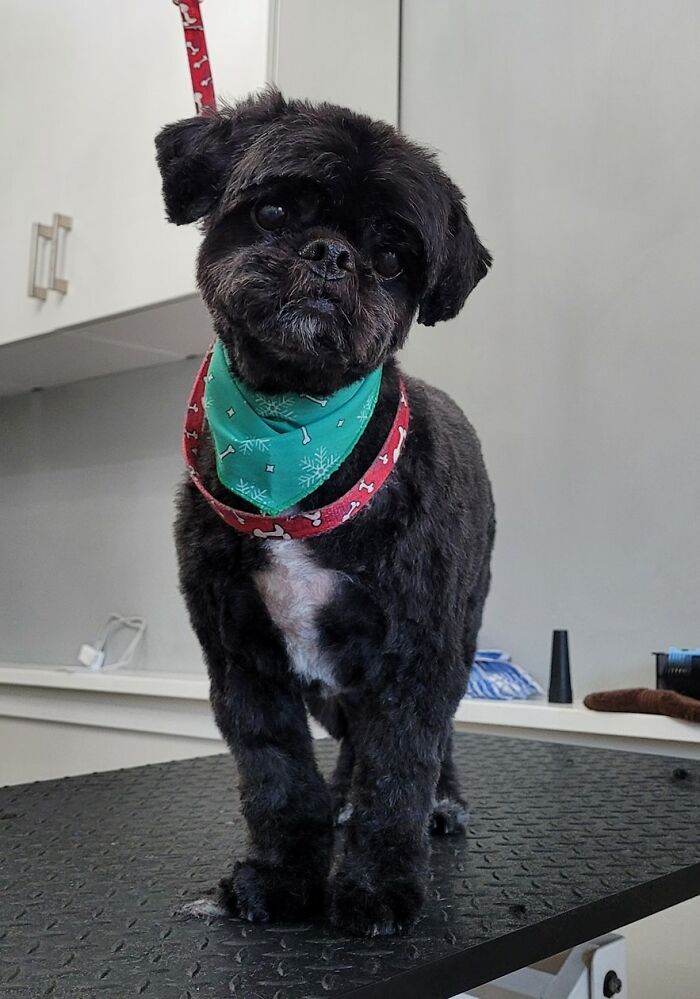 The Bud (Of Course!) Looking Dapper