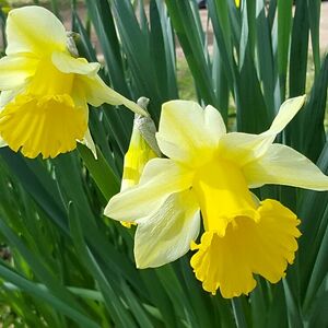 patriciaorourke29 avatar