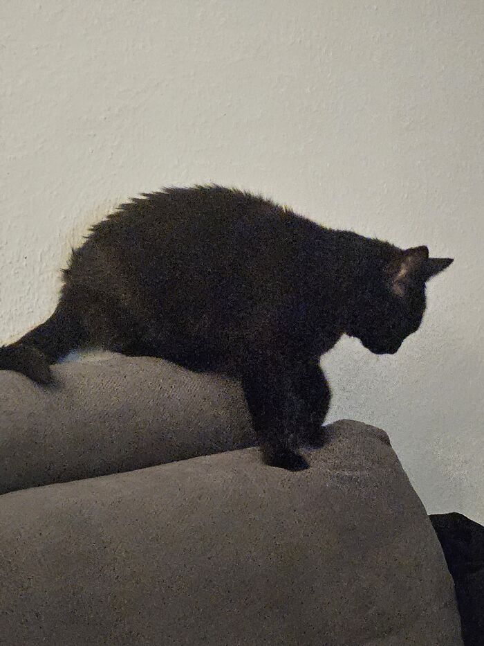 My Old Man Likes To Sit Like This