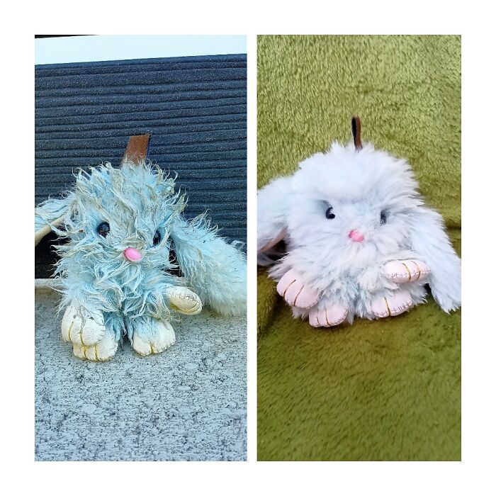 This Little Guy, Before And After I Took Care Of Him