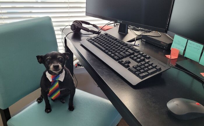 Ready For Work During Pride Month