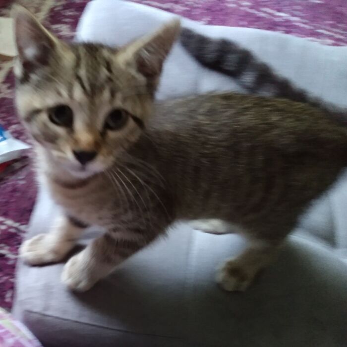 I (And Bouche) Are Working On Raising Audi