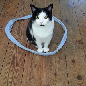 goddardfelicity5 avatar