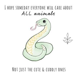 taylorsquishylindsey avatar