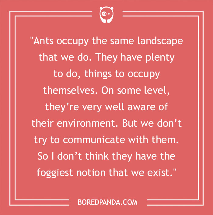 Carl Sagan Quote About Ants 