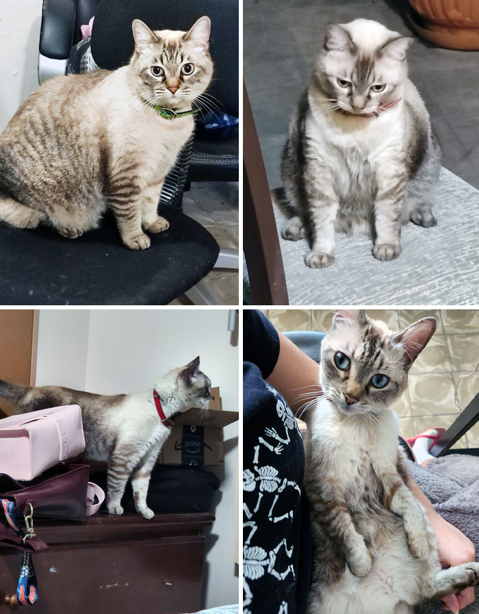 I Didn't Even Know How Active She Could Be Till She Was Dechonked