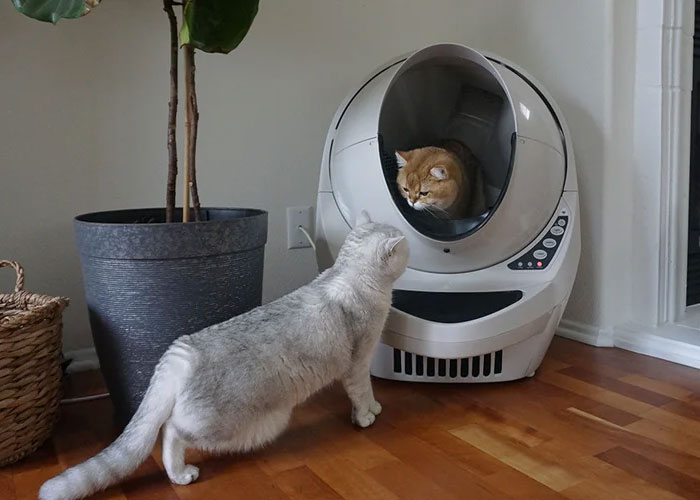 “Electrical Bill Dropped By Half”: People Share 35 Home Upgrades That Were Worth Every Penny