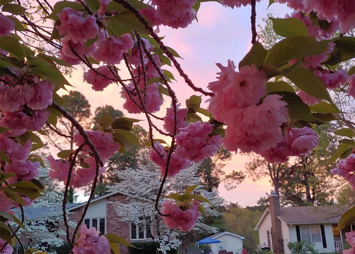 “Electrical Bill Dropped By Half”: People Share 35 Home Upgrades That Were Worth Every Penny