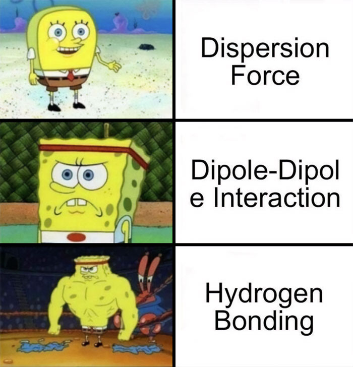 Chemistry meme featuring SpongeBob illustrating dispersion forces, dipole-dipole interactions, and hydrogen bonding.