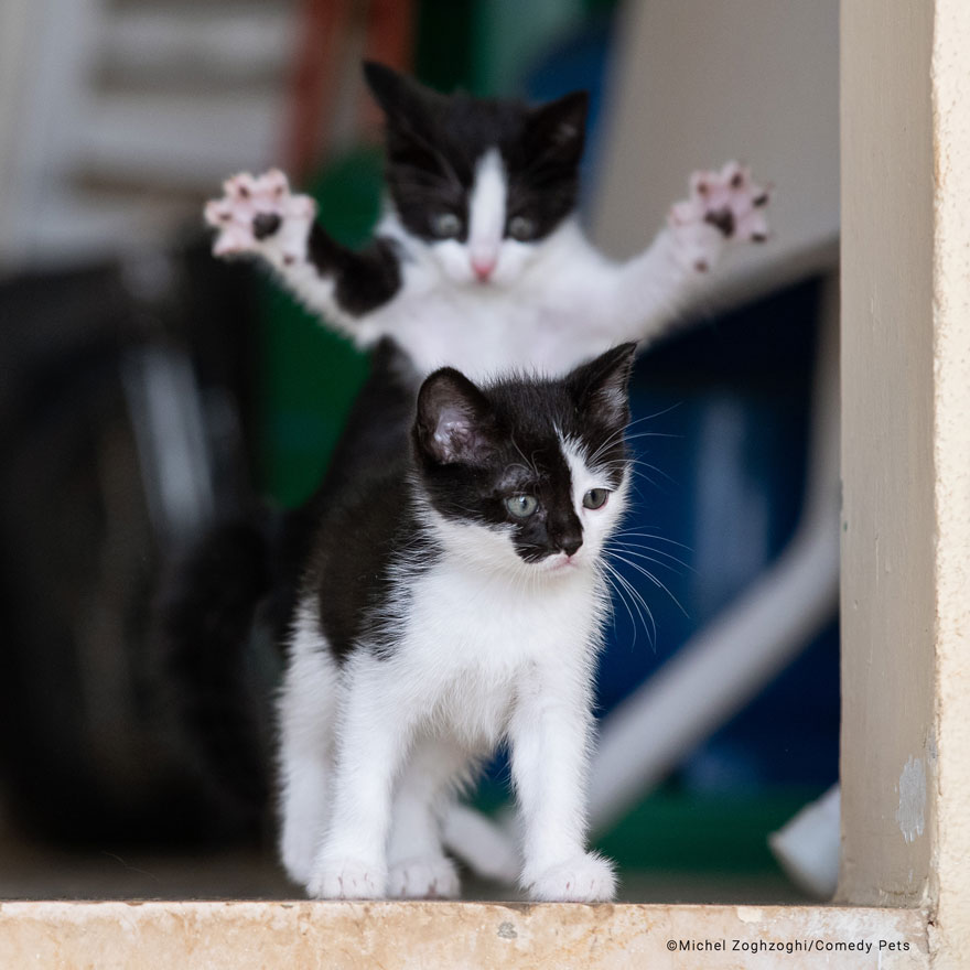 'A Life Changing Event' By Michel Zoghzoghi