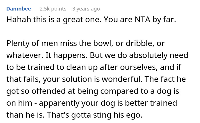 &ldquo;The Bathroom Floor Was Suddenly Always Wet&rdquo;: BF Keeps Missing The Toilet, GF Gets Resourceful