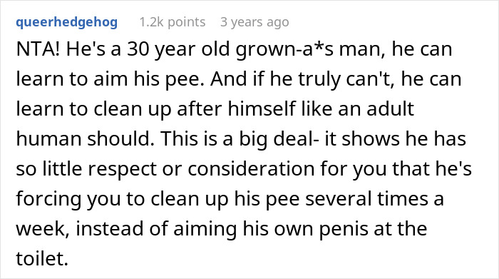 &ldquo;The Bathroom Floor Was Suddenly Always Wet&rdquo;: BF Keeps Missing The Toilet, GF Gets Resourceful