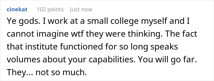 Person Started A Chain Of Resignations By Leaving And Felt Good Watching Their Company Crumble