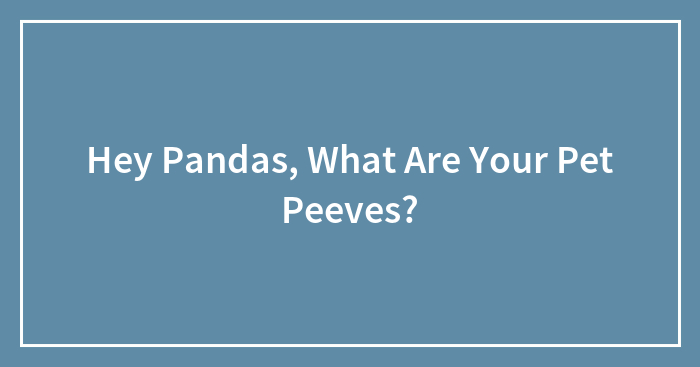 Hey Pandas, What Are Your Pet Peeves?