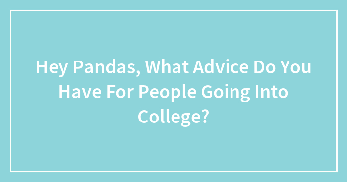 Hey Pandas, What Advice Do You Have For People Going Into College?