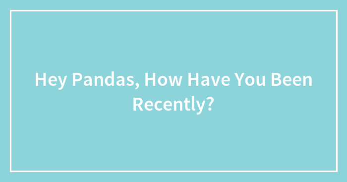 Hey Pandas, How Have You Been Recently?