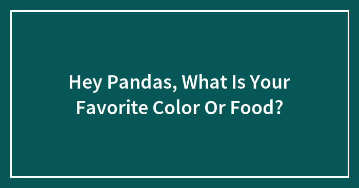 Hey Pandas, What Is Your Favorite Color Or Food?