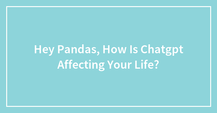 Hey Pandas, How Is Chatgpt Affecting Your Life?