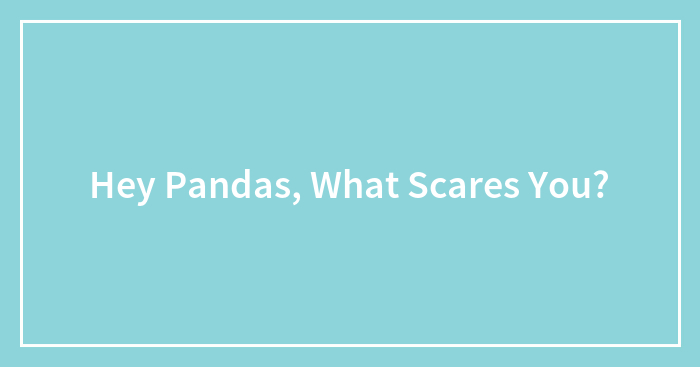Hey Pandas, What Scares You?