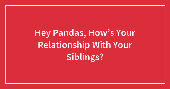 Hey Pandas, How’s Your Relationship With Your Siblings?