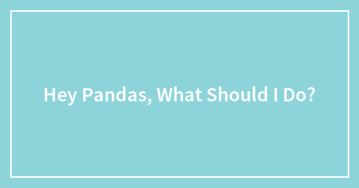 Hey Pandas, What Should I Do?