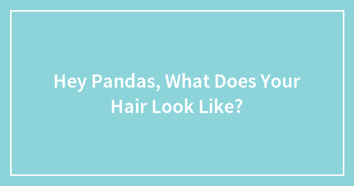 Hey Pandas, What Does Your Hair Look Like?