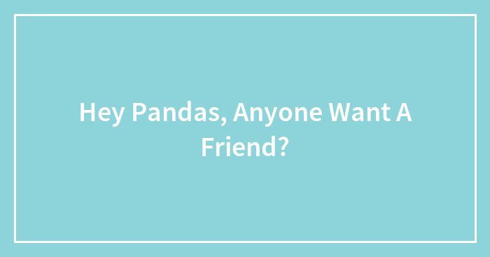 Hey Pandas, Anyone Want A Friend?