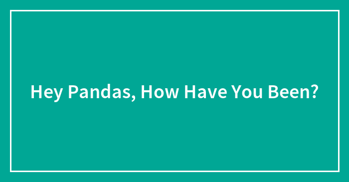 Hey Pandas, How Have You Been?