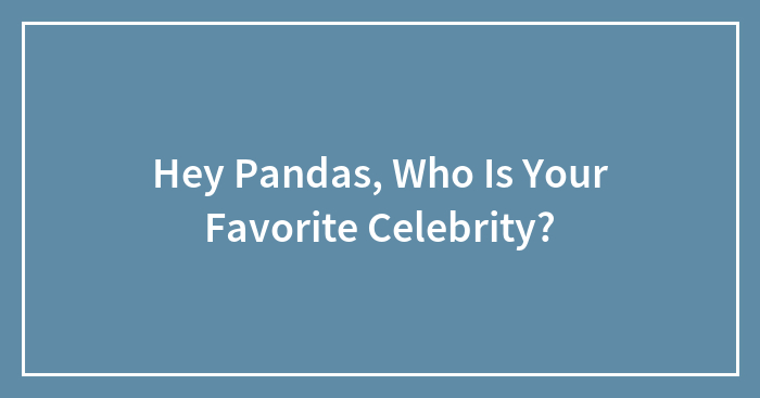 Hey Pandas, Who Is Your Favorite Celebrity?