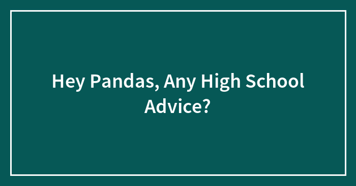 Hey Pandas, Any High School Advice?