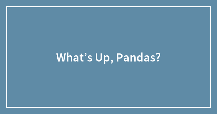 What’s Up, Pandas?