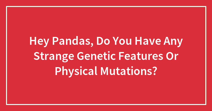 Hey Pandas, Do You Have Any Strange Genetic Features Or Physical Mutations?