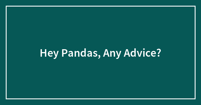 Hey Pandas, Any Advice?