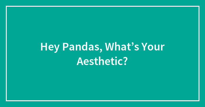 Hey Pandas, What’s Your Aesthetic?