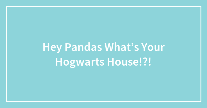Hey Pandas What’s Your Hogwarts House!?!