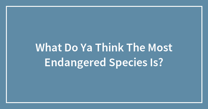 What Do Ya Think The Most Endangered Species Is?