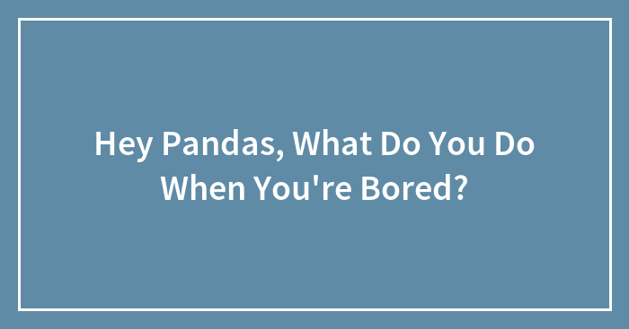 Hey Pandas, What Do You Do When You’re Bored?