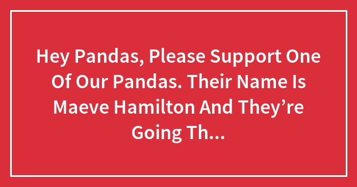 Hey Pandas, Please Support One Of Our Pandas. Their Name Is Maeve Hamilton And They’re Going Through A Lot Right Now
