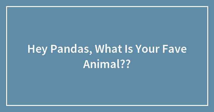 Hey Pandas, What Is Your Fave Animal??