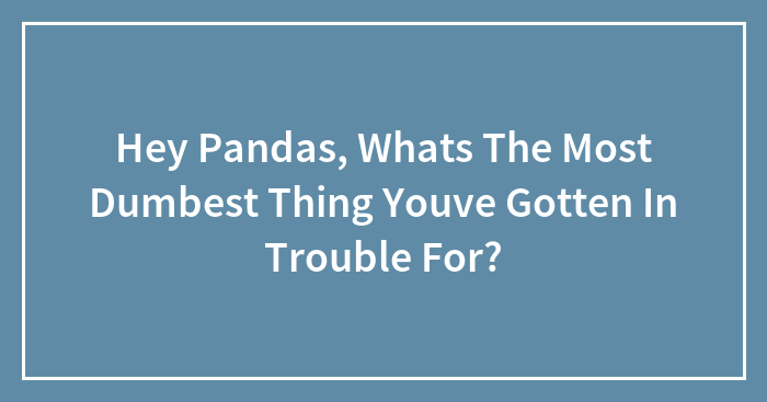 Hey Pandas, Whats The Most Dumbest Thing Youve Gotten In Trouble For?