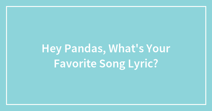 Hey Pandas, What’s Your Favorite Song Lyric?