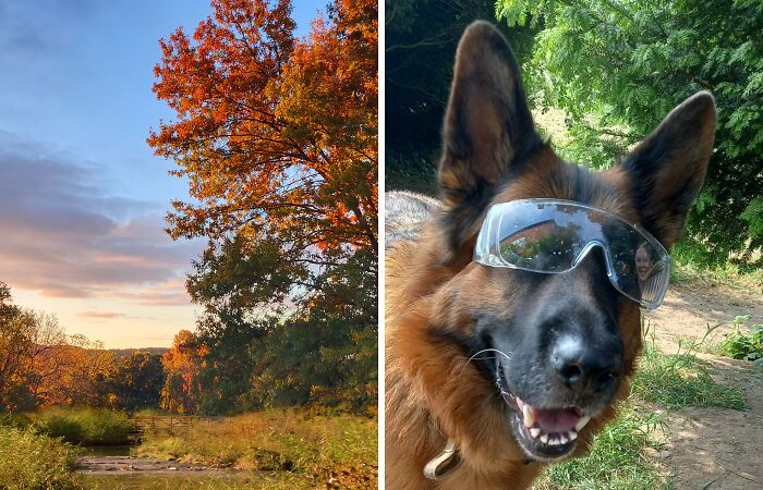 Hey Pandas, Show Us Something That Costs A Lot Of Money But Is Worth It (Closed)