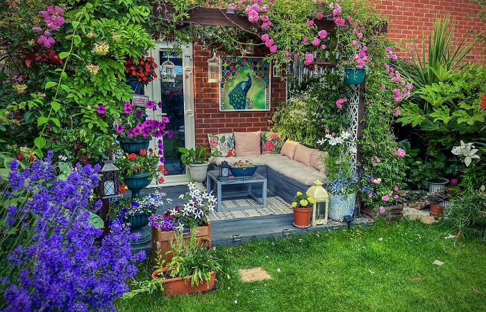 I Transformed My New Build Garden: A Journey Of Creativity And Growth (9 Pics)