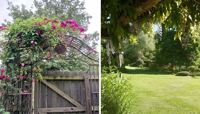 Hey Pandas, Please Show Us A Current Picture Of Your Gardens (Closed)